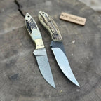 Nessmuk Style Knife Set Damascus and Polished Trailing Point Blades Stag Bone Handles