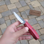 Handmade Skinner Knife Red Wood Handle Fixed Blade