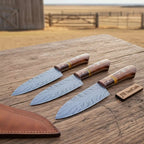 3-Piece Feather Pattern Damascus Knife Set with Rosewood Pakka Wood Handles