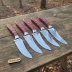Handmade Drop Point Hunting Knife Set of 5-Piece Full Tang Blades with Red Resin Handles