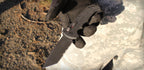 Gerber 06 Push Button AUTO Combo Tanto Blade Folding Knife Black