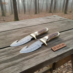 Gut Hook Skinner Knives Pair stag handle