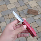 Handmade Skinner Knife Red Wood Handle Fixed Blade