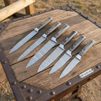 Handmade Damascus Chef Knife Set 6 Piece Professional Kitchen Knife Collection Full Tang Wood Handles